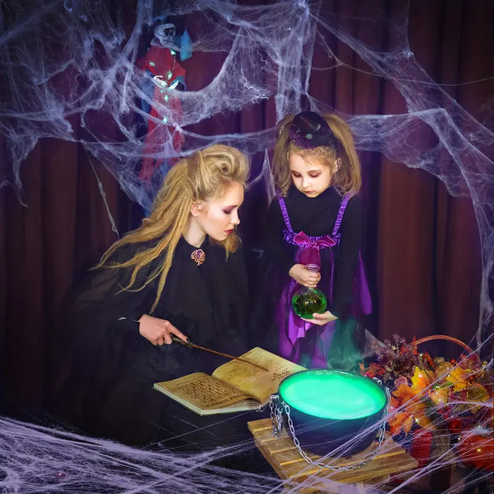Halloween Spider Web Decoration with 2 Spiders