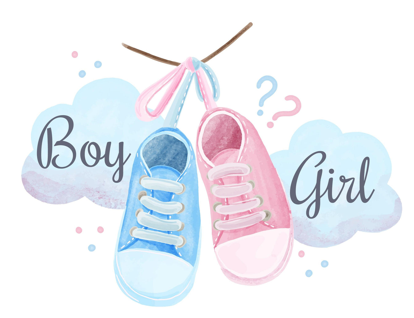 Gender Reveal