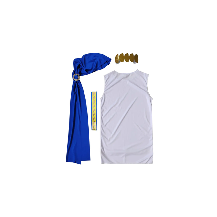 Boys’ Roman &amp; Greek Prince Costume – Blue &amp; Gold