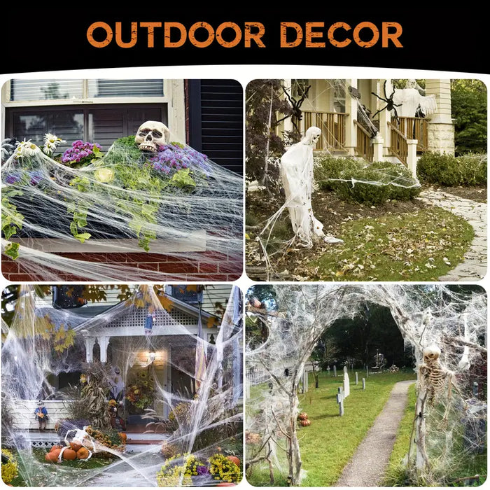 Halloween Spider Web & Spider Decorations
