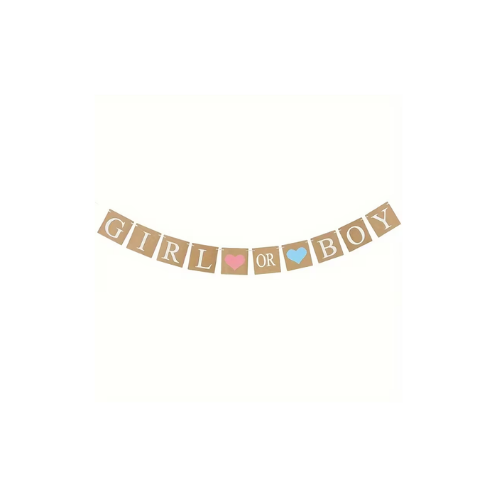 Gender Reveal Party Banner Set – Boy or Girl
