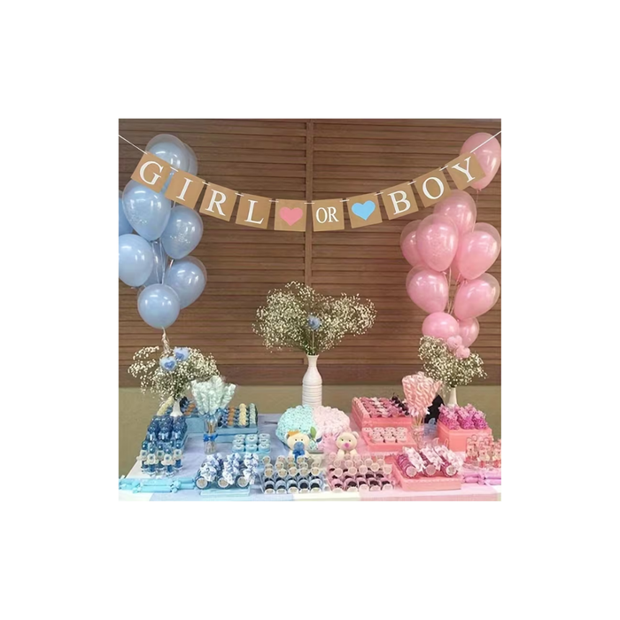 Gender Reveal Party Banner Set – Boy or Girl