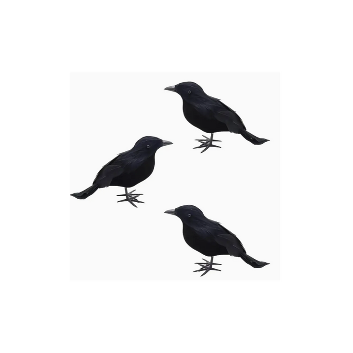 Black Crow Halloween Decoration 5 pcs