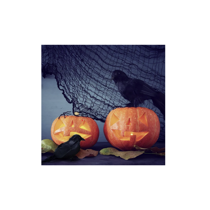 Black Crow Halloween Decoration 5 pcs