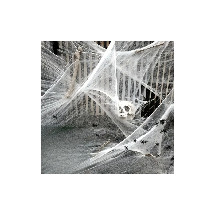 Halloween Spider Web Decoration with 2 Spiders