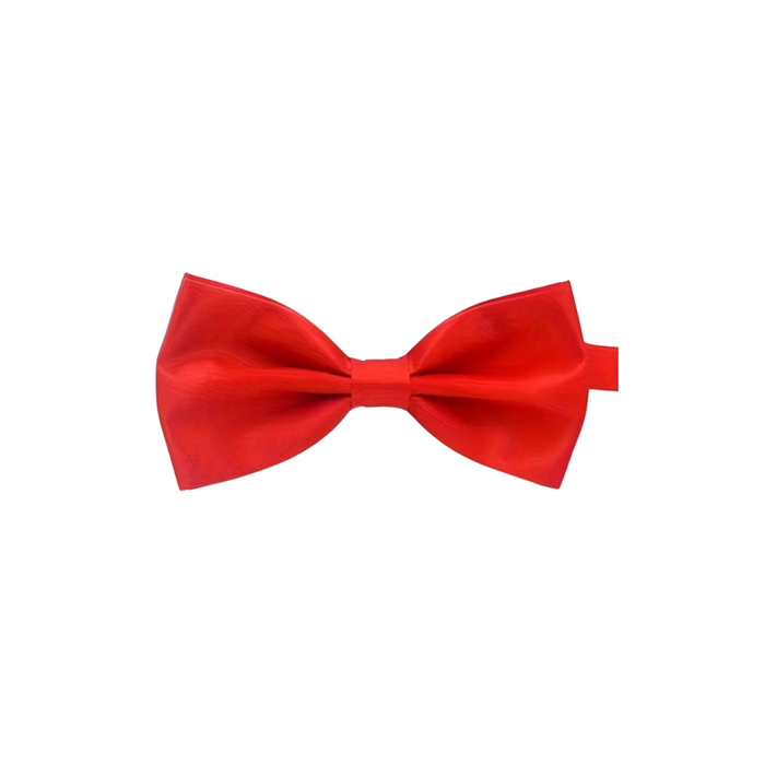 Classic Bow Tie for Boys