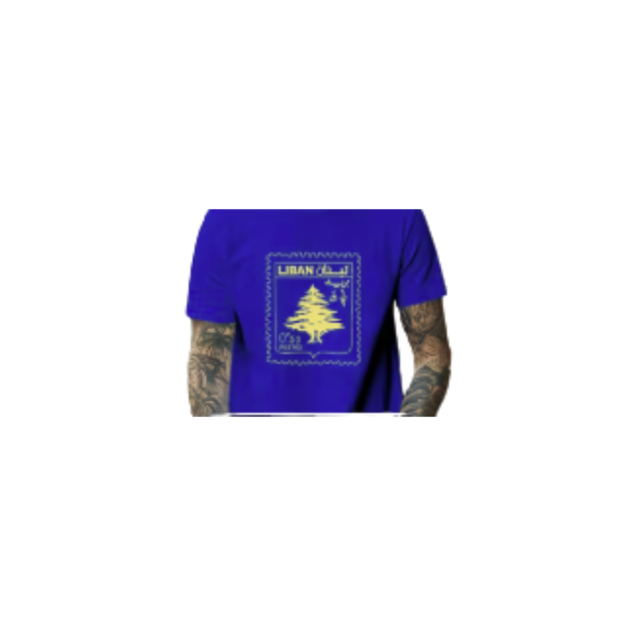 Men’s Vintage Lebanon Postal Graphic T-Shirt – Blue