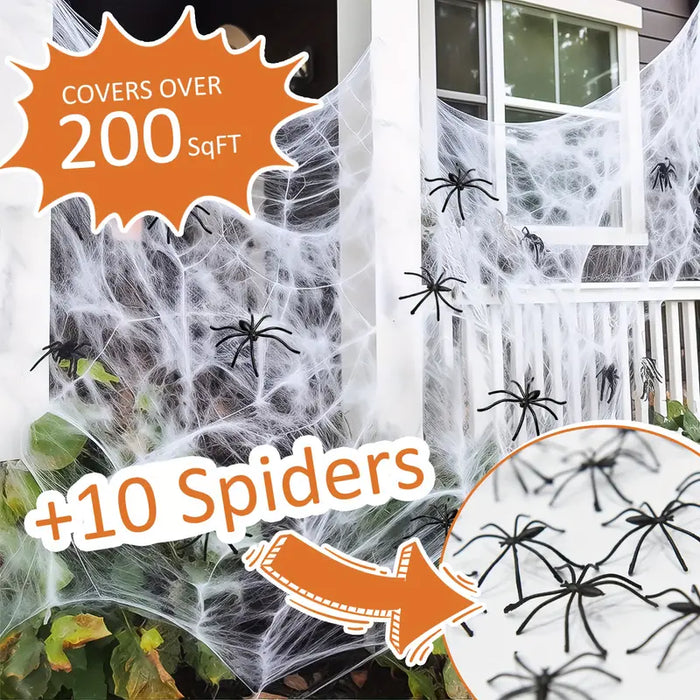 Halloween Spider Web & Spider Decorations