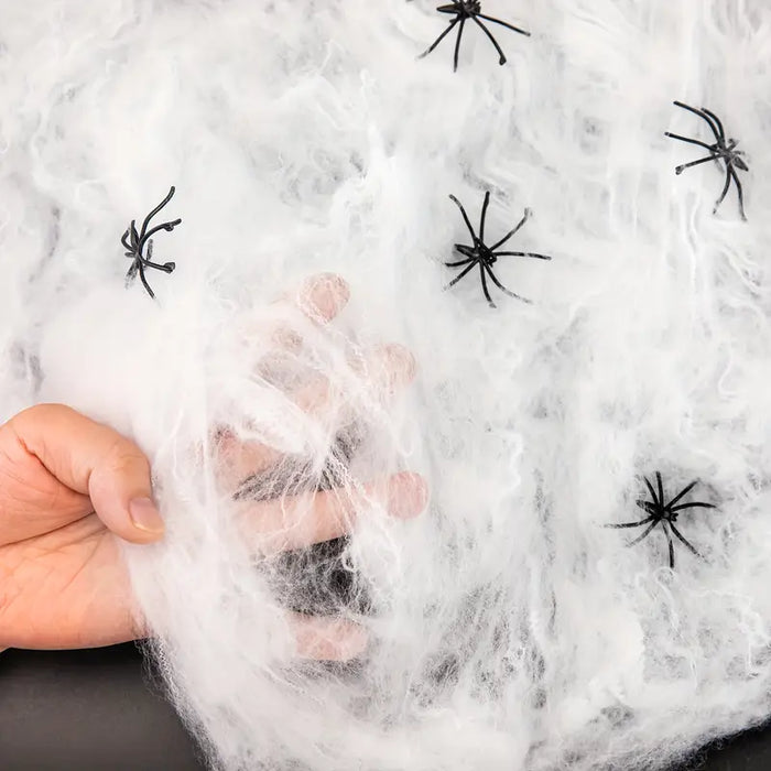 Halloween Spider Web & Spider Decorations